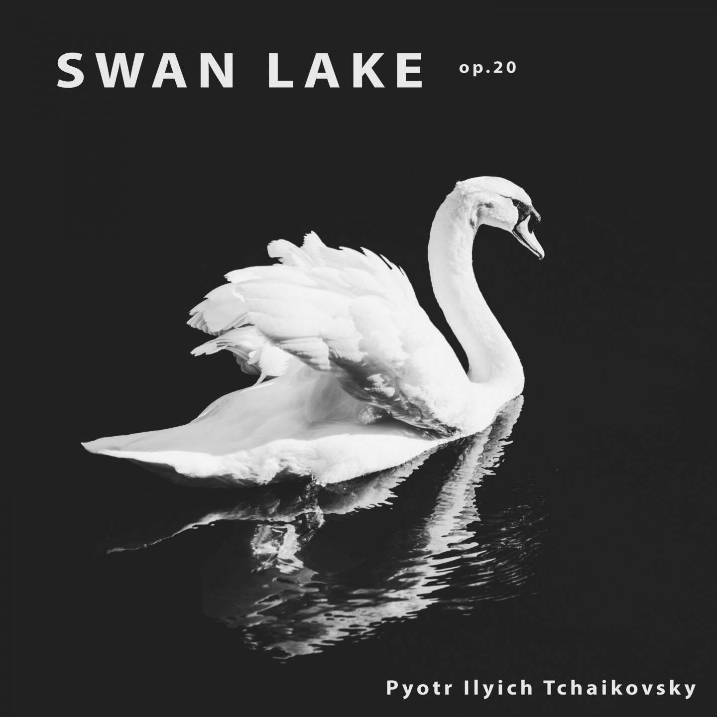 Лебединое озеро mp3. Tchaikovsky: Swan Lake. Pyotr Tchaikovsky - Swan Lake - 2007. Черный лебедь обложка.