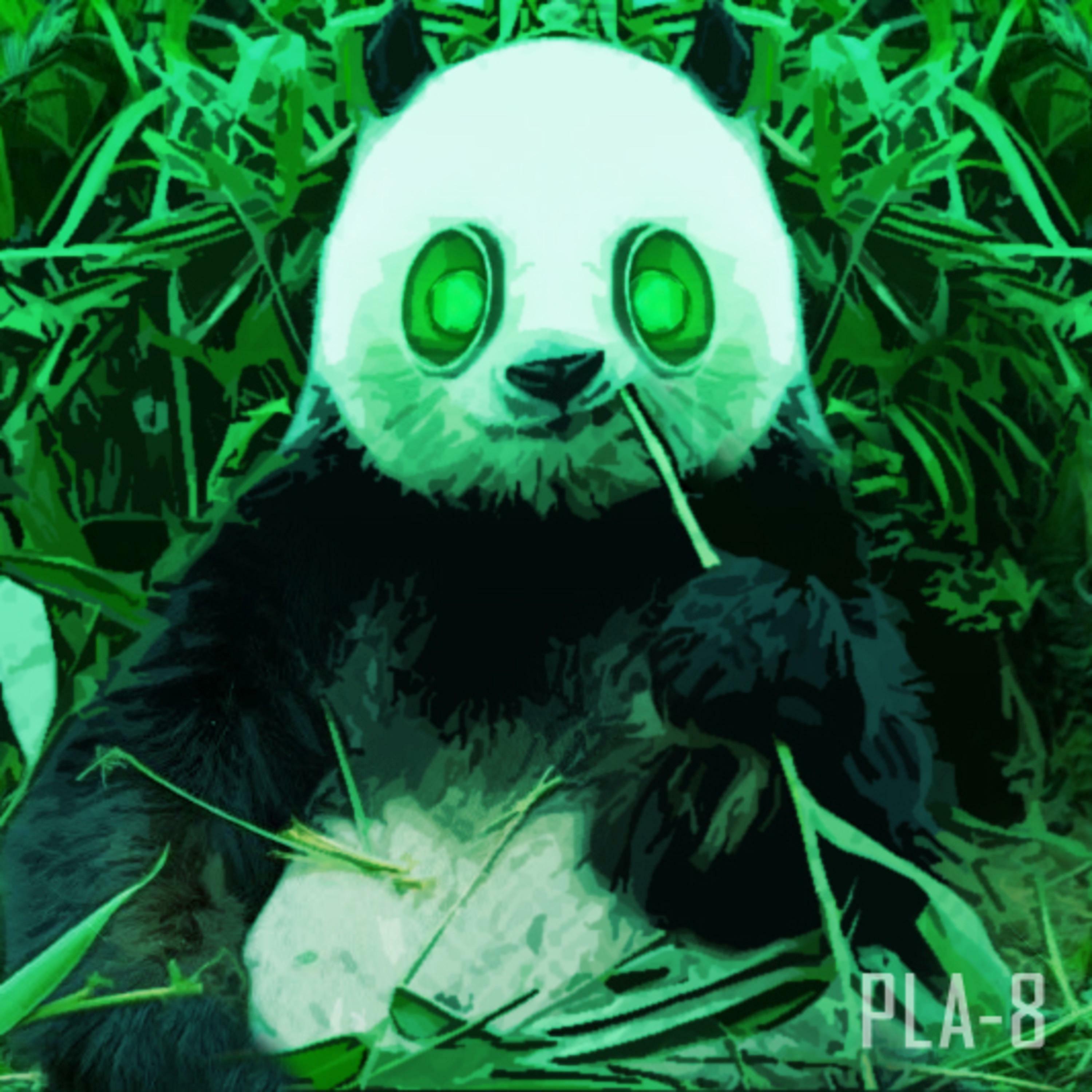 Panda looks like