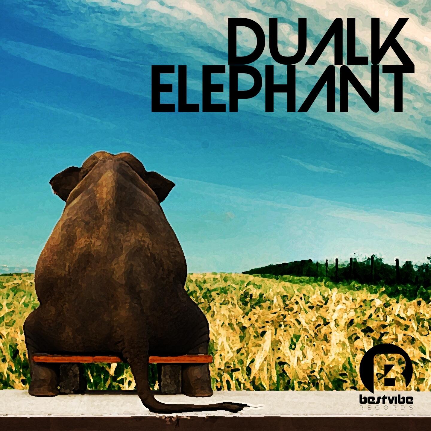 Elephant remix. Elephant Music альбом. Песня elefante. Слоны СЛУШАЮТ музыку. У какого музыкального альбома слон на обложке.