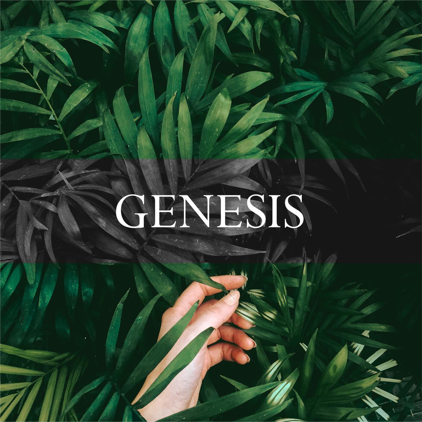 перевод песни genesis
